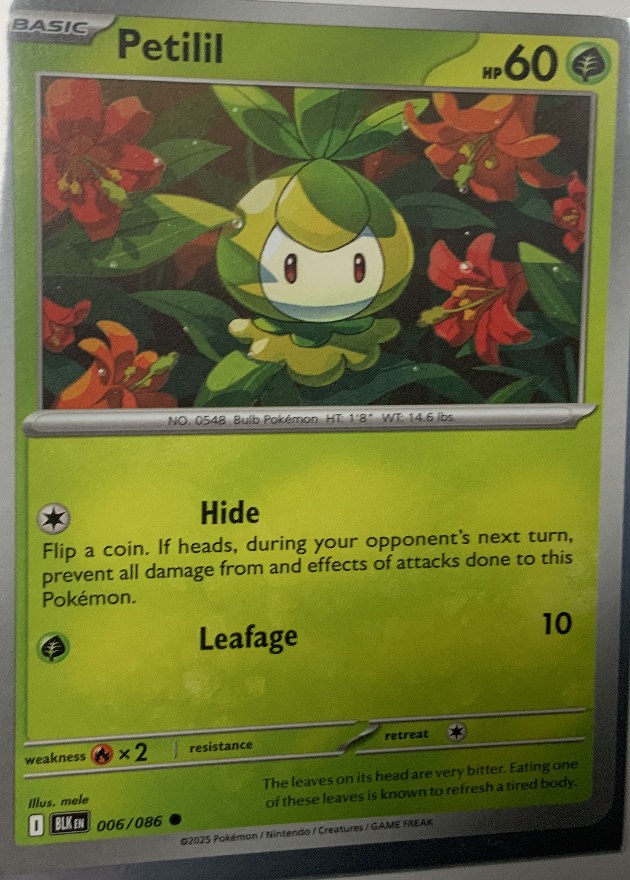 Petilil Pokémon card