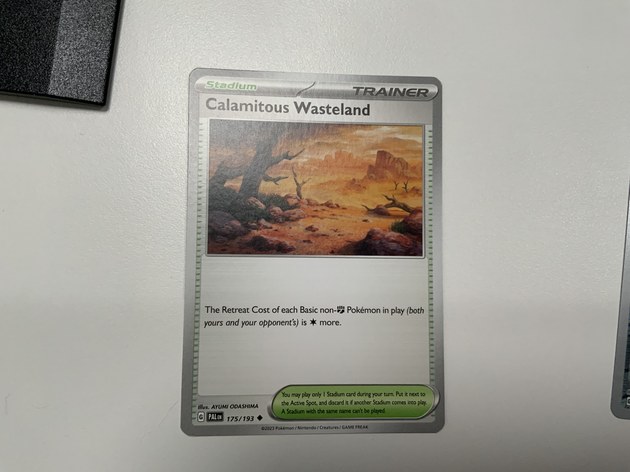 Calamitous Wasteland Pokémon card